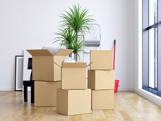Professional on-site packing services for boxes and household goods