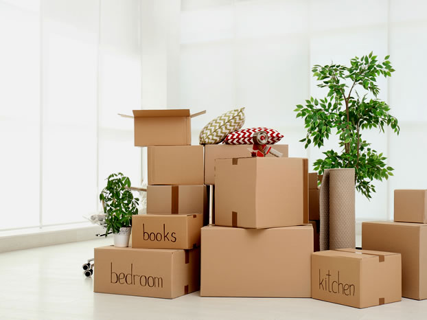 Professional packing services with custom wooden crates and palletizing